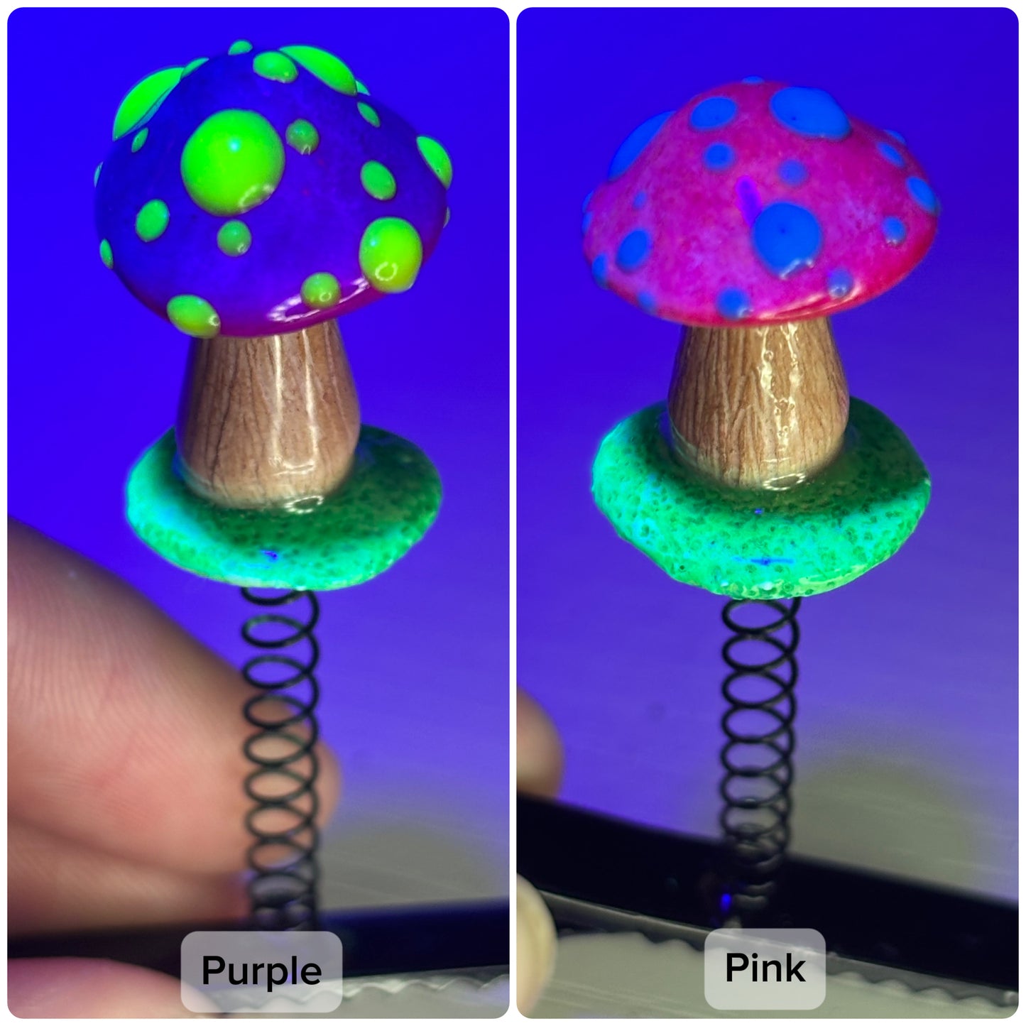 Trippy Mushroom Sprout Clips (6 Pack Mystery Rainbow 🌈 Bundle!)