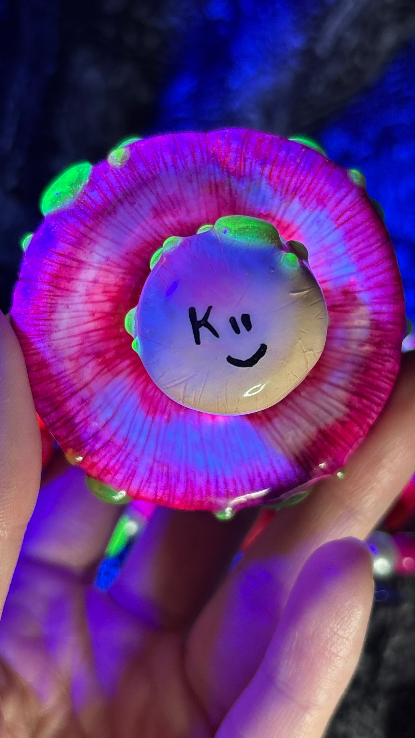 Toxic Shroomie #1 Stash Jar Necklace