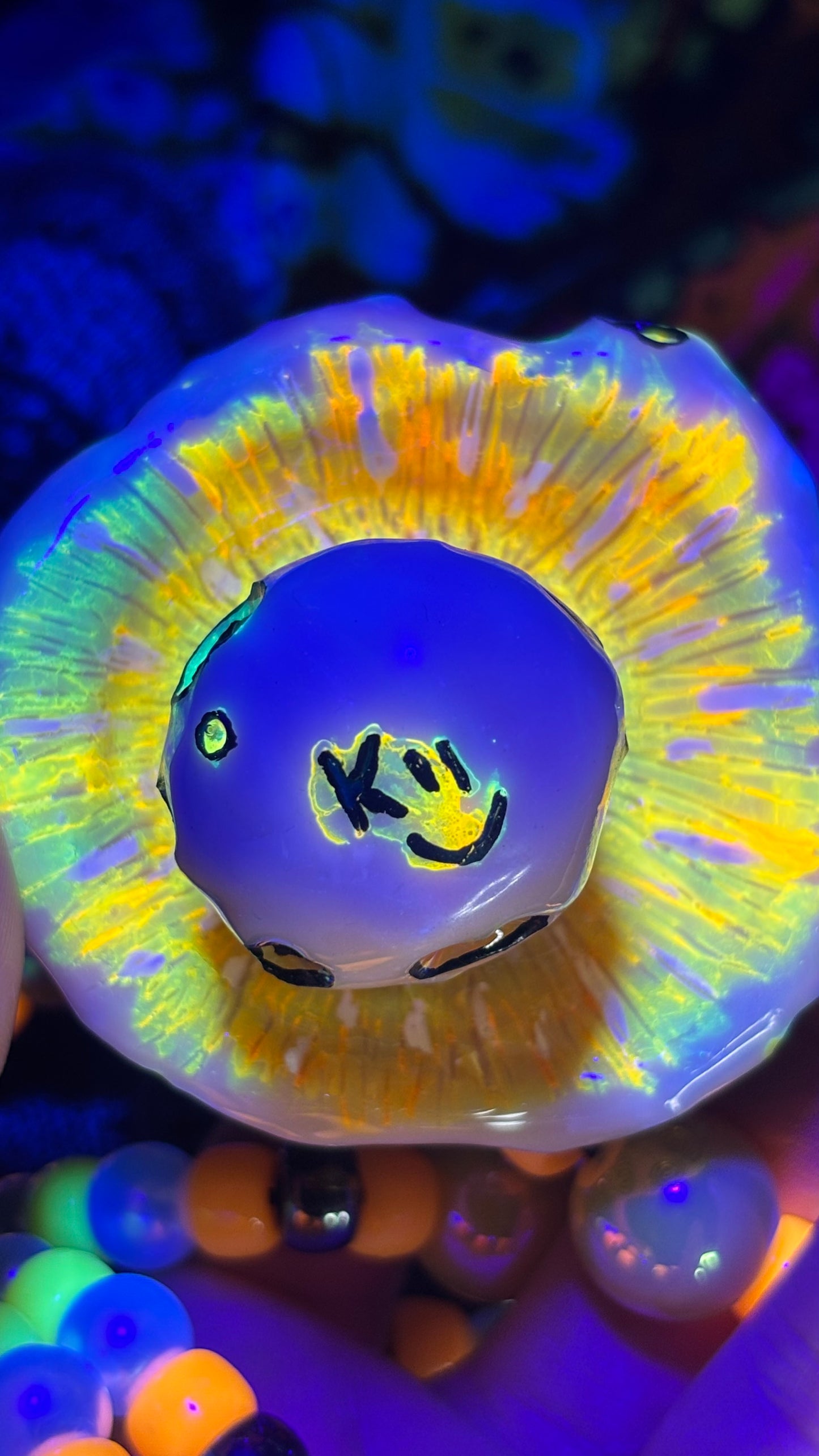 Orange/Yellow Living Shroomie Stash Jar Necklace