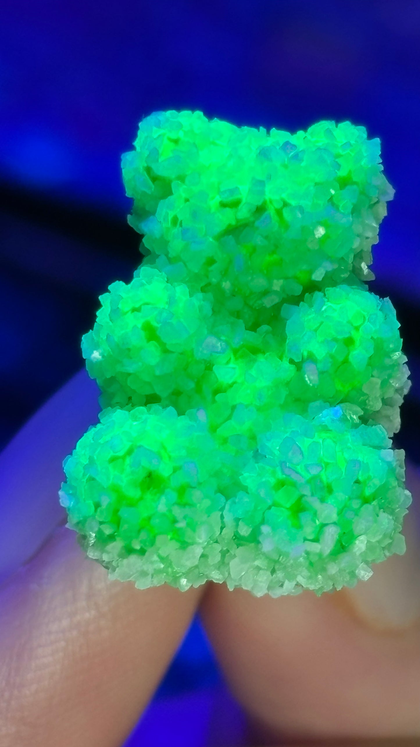 Sour Gummy Bear Pin Pack (+6 Pins)