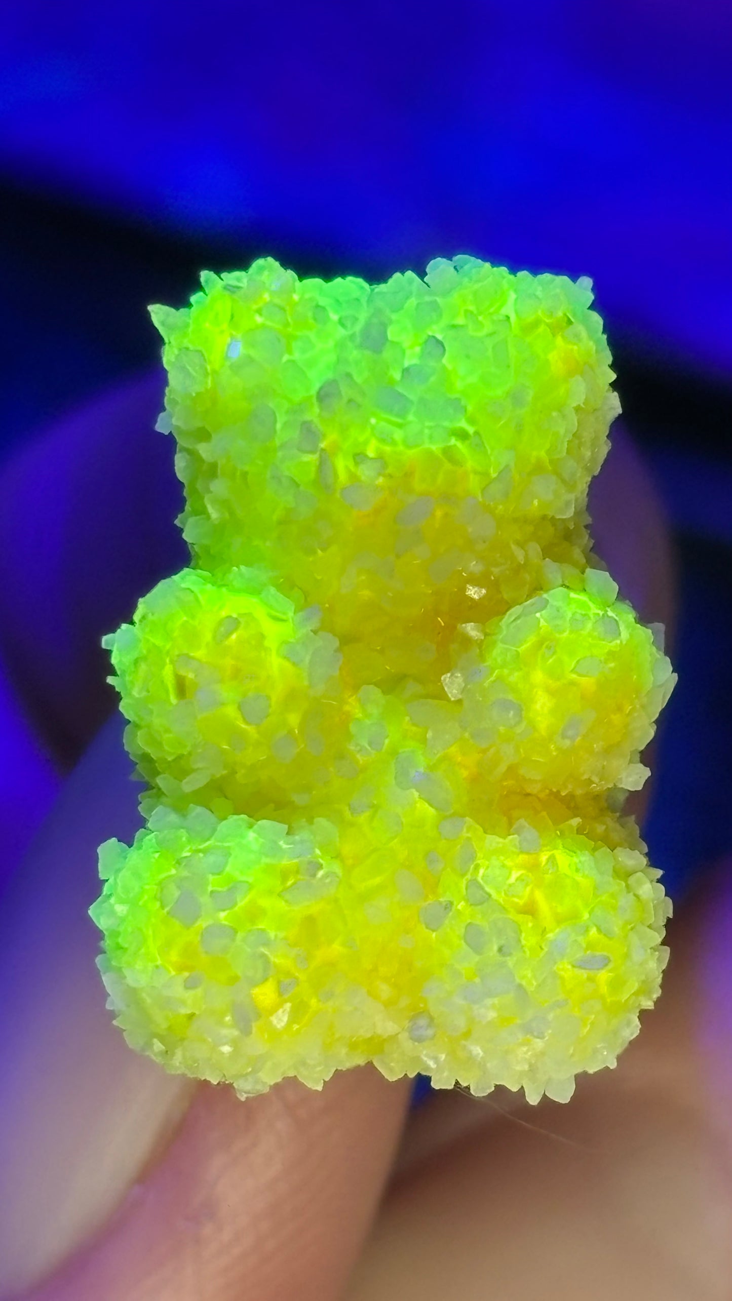 Sour Gummy Bear Pin Pack (+6 Pins)