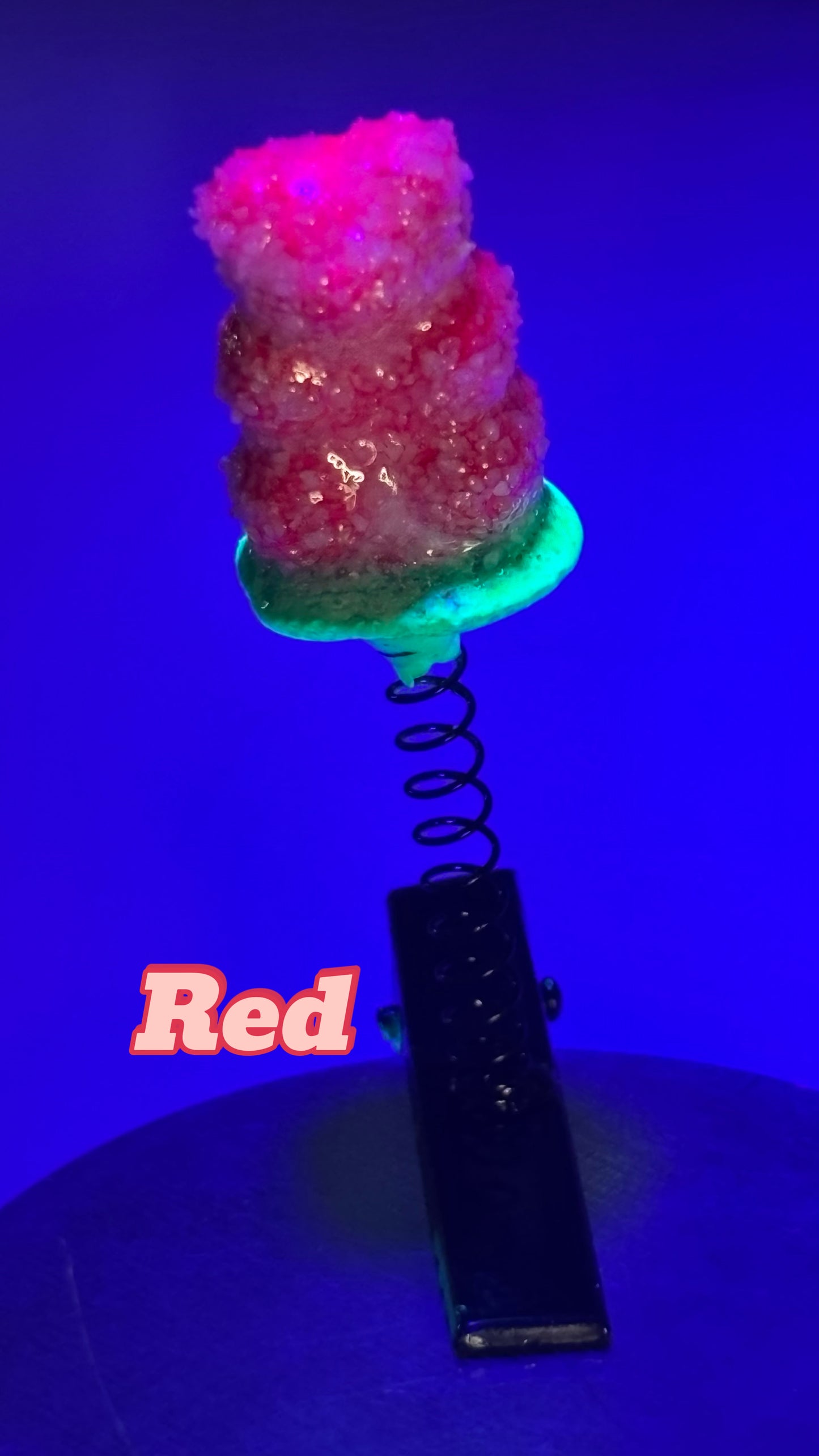 Sour Gummy Bear Sprout Clips 🌱(You Pick Color!)
