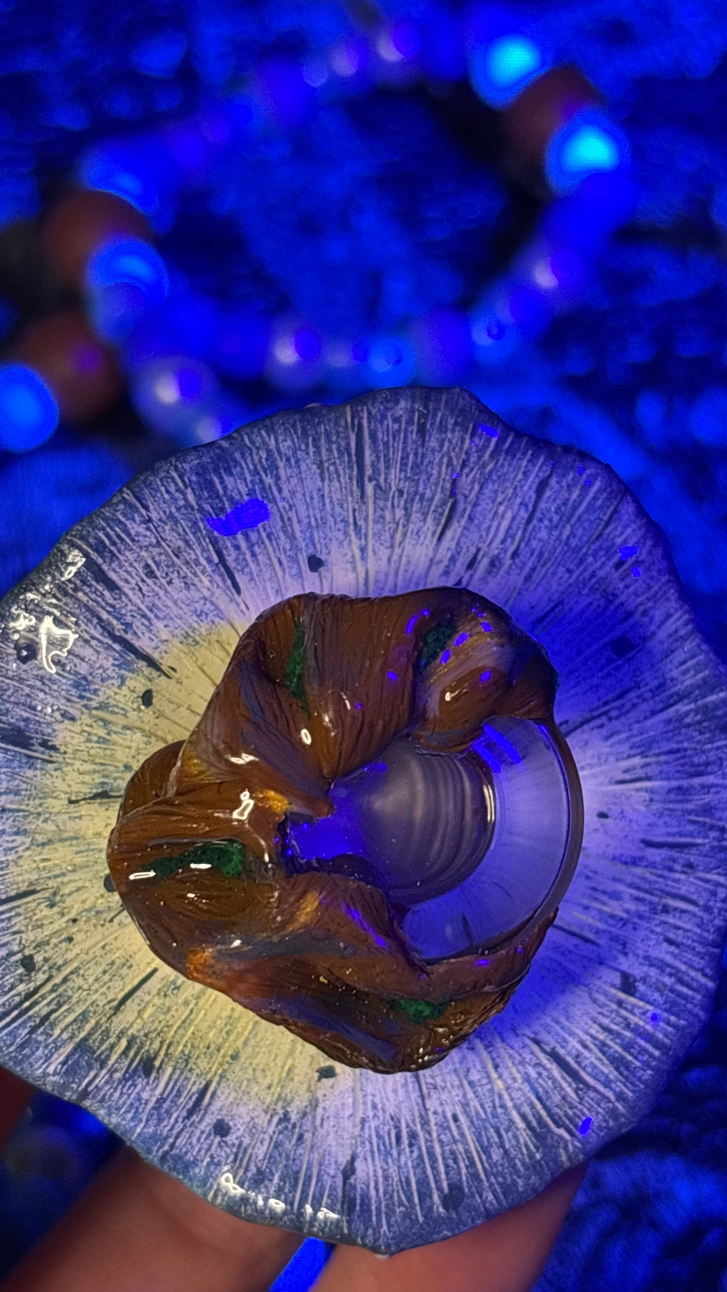 Pale Blue Mushroom Portal Stash Jar Necklace