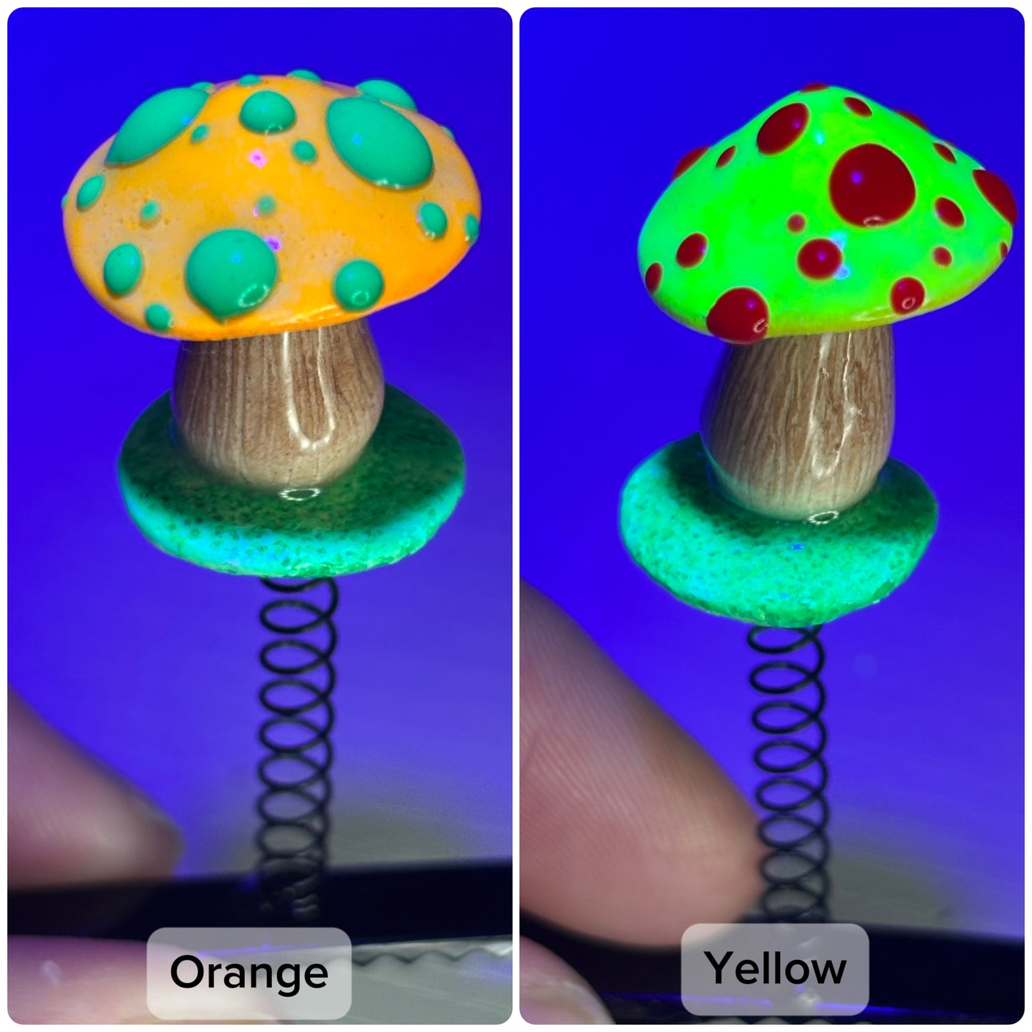 Trippy Mushroom Sprout Clips (6 Pack Mystery Rainbow 🌈 Bundle!)