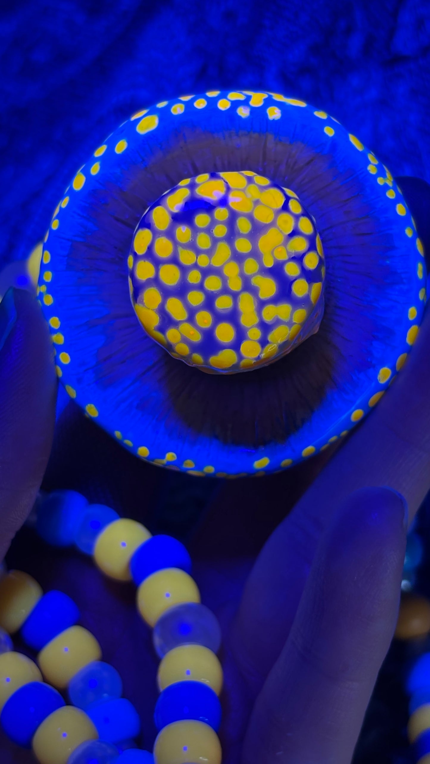 Blue Spotted Shroomie Stash Jar Necklace