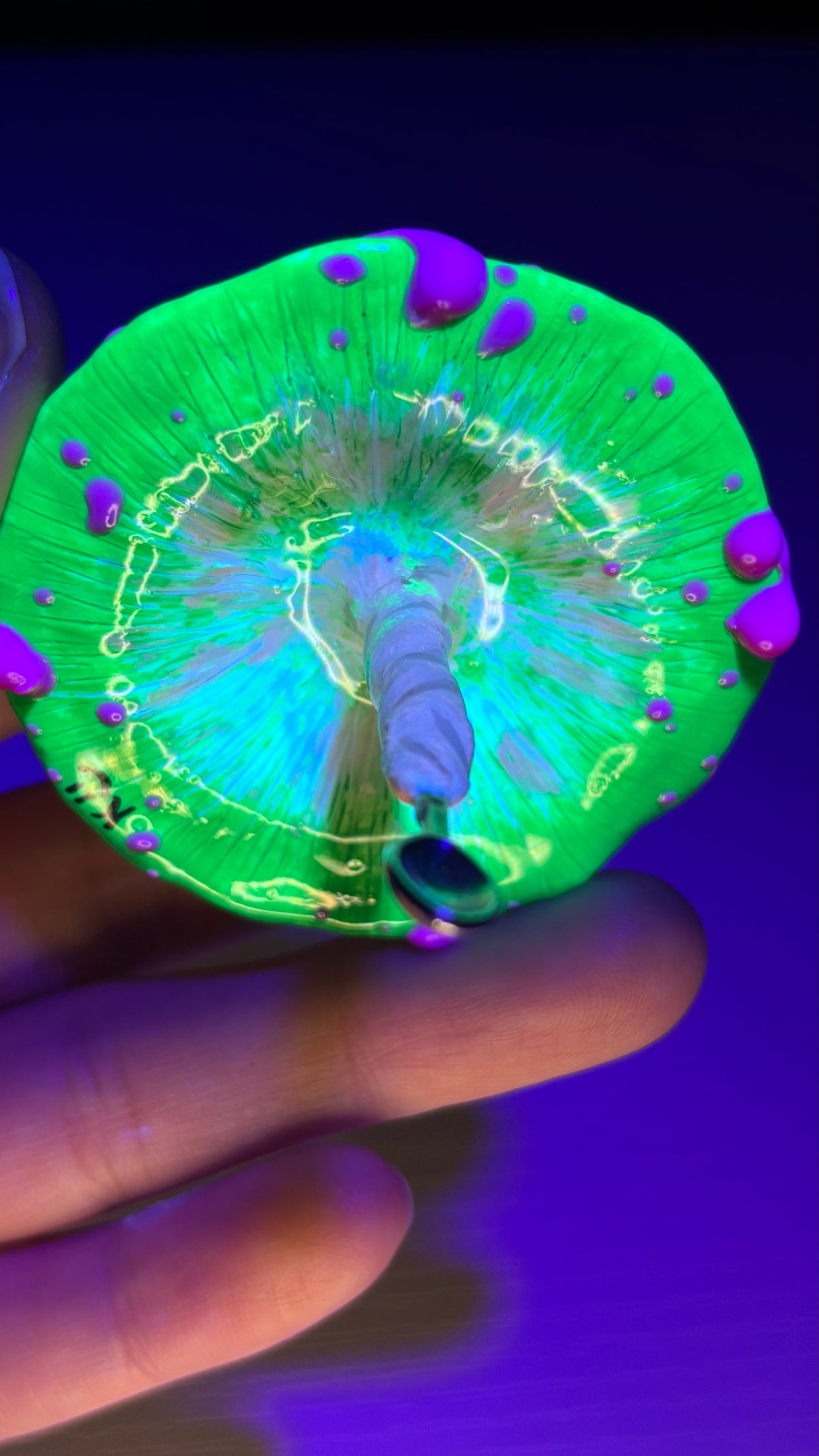 Green Mushroom Spoon 🥄