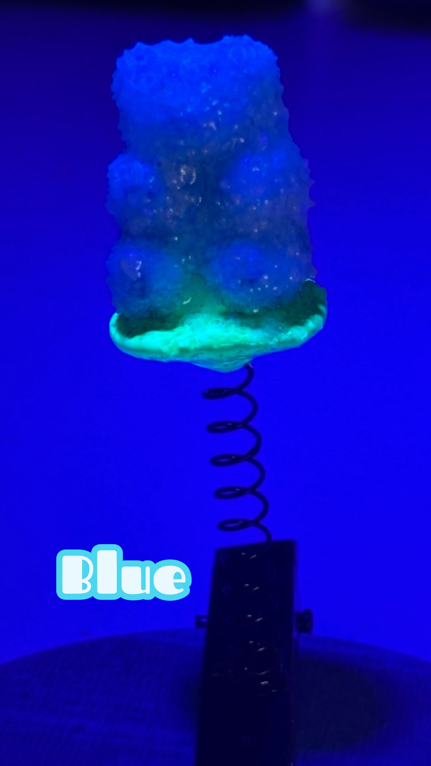 Sour Gummy Bear Sprout Clips 🌱(You Pick Color!)