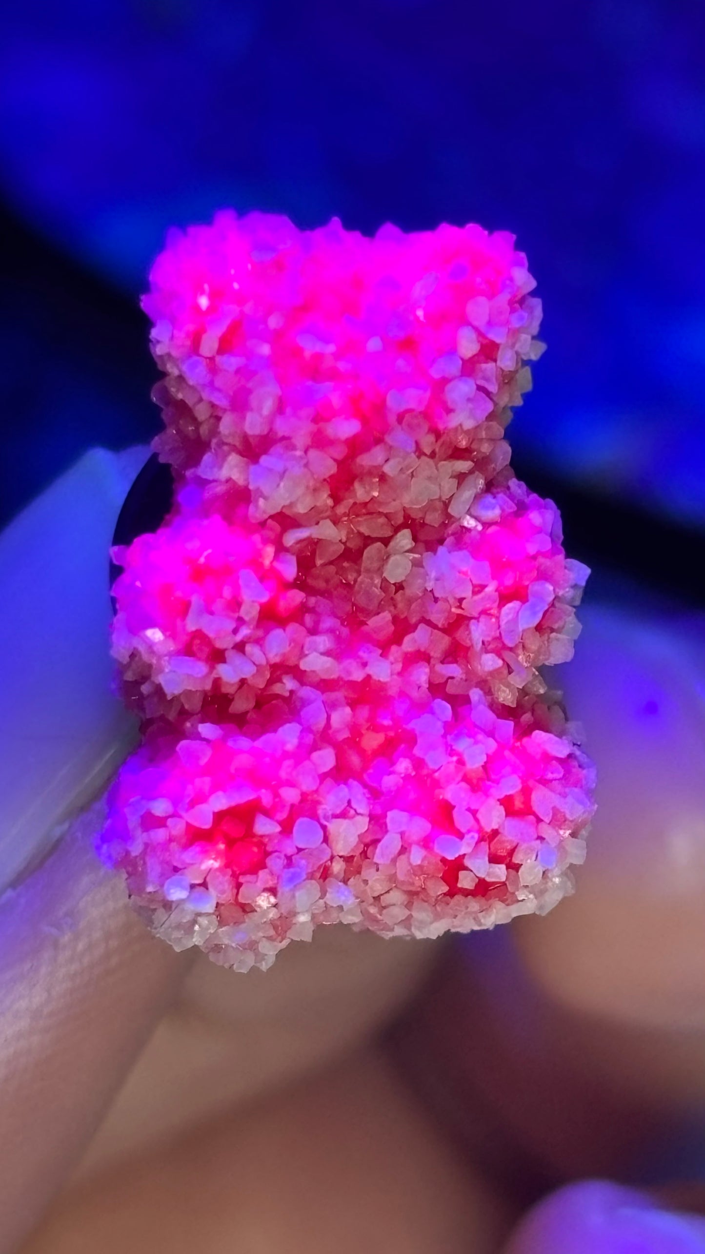 Sour Gummy Bear Pin Pack (+6 Pins)