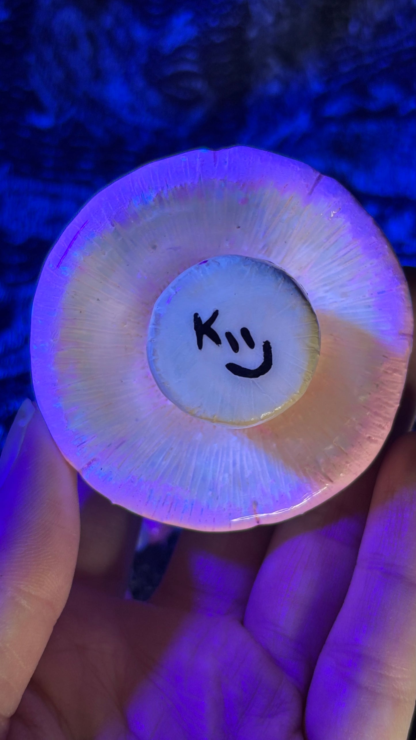 Light Pink Shroomie Stash Jar Necklace