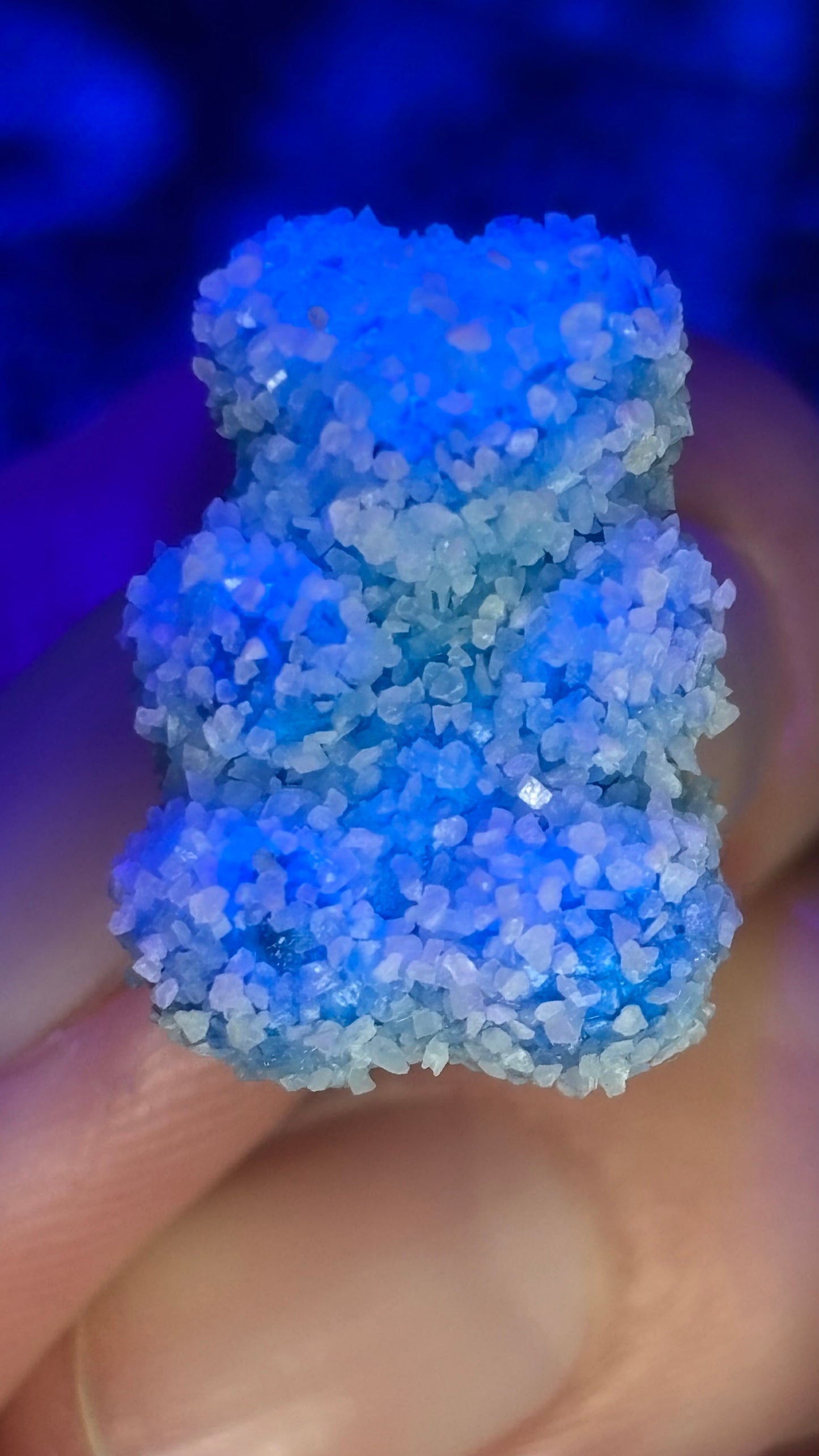 Sour Gummy Bear Pin Pack (+6 Pins)