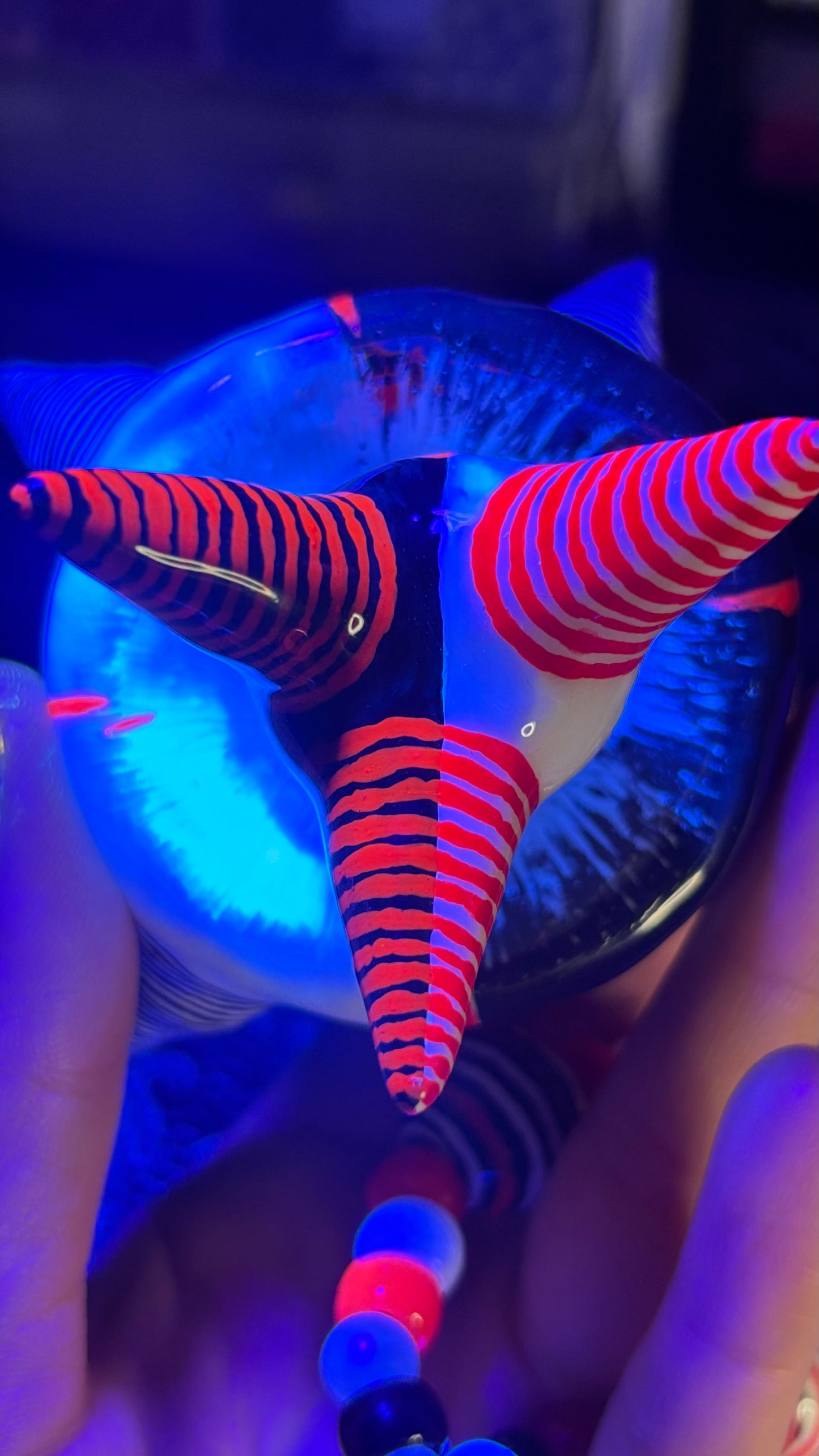 Kakuro The Clown Stash Jar Necklace (+Custom Beads)