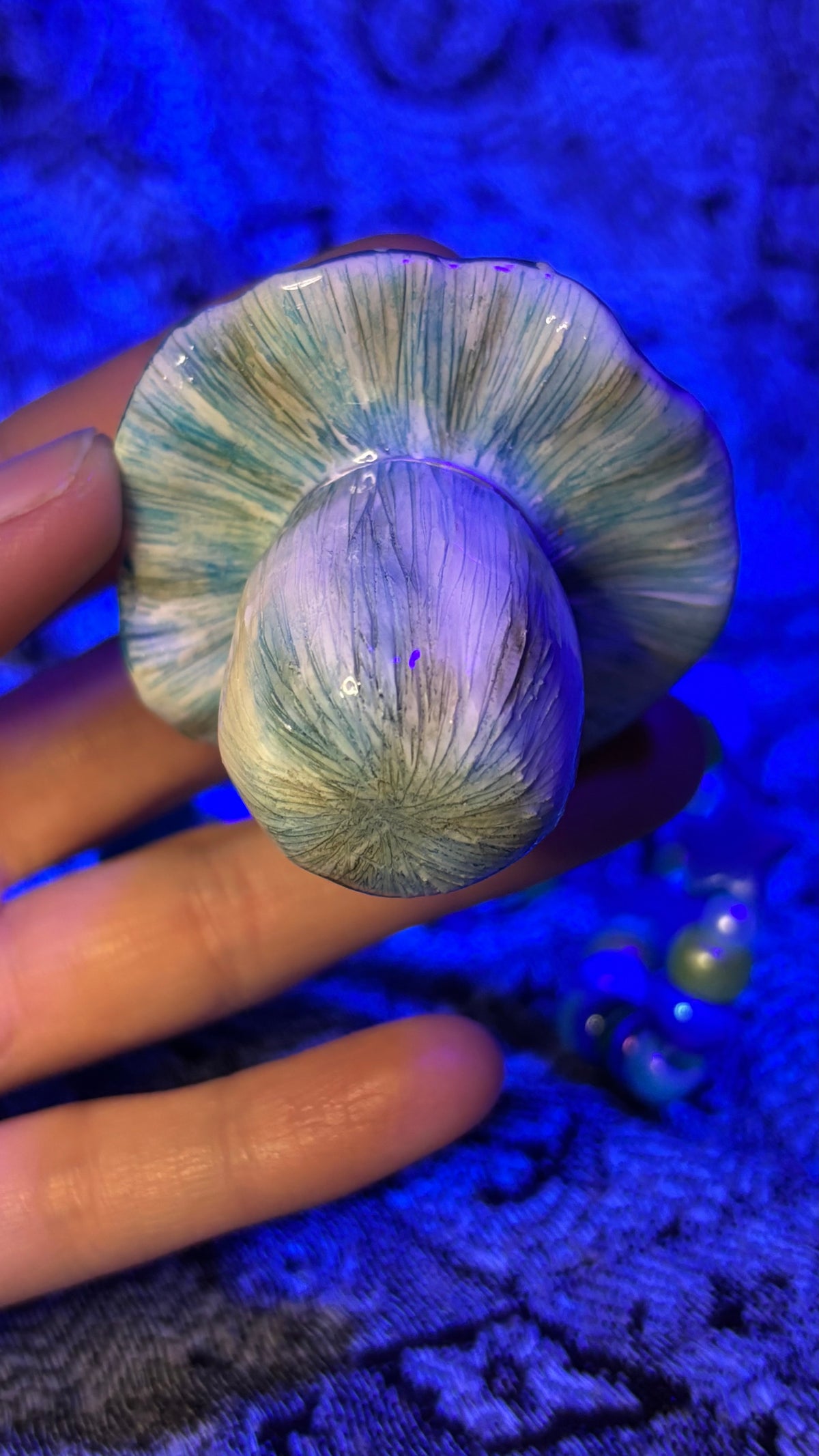 Blue/Green Mushroom Stash Jar Necklace