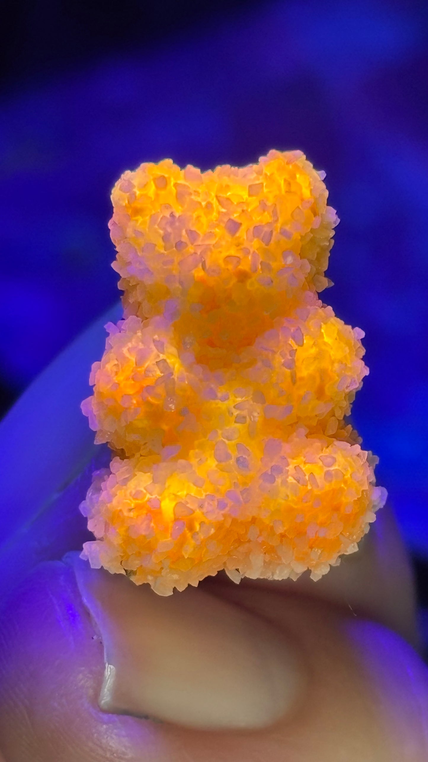 Sour Gummy Bear Pin Pack (+6 Pins)