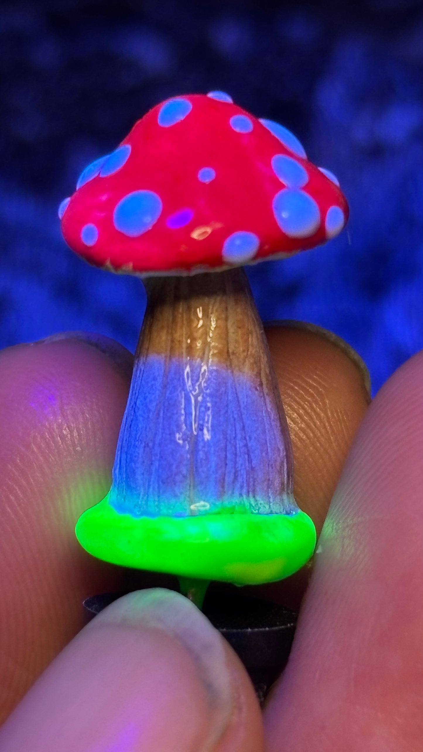 White Spotted Mushroom Pins (Color Selected Randomly!)