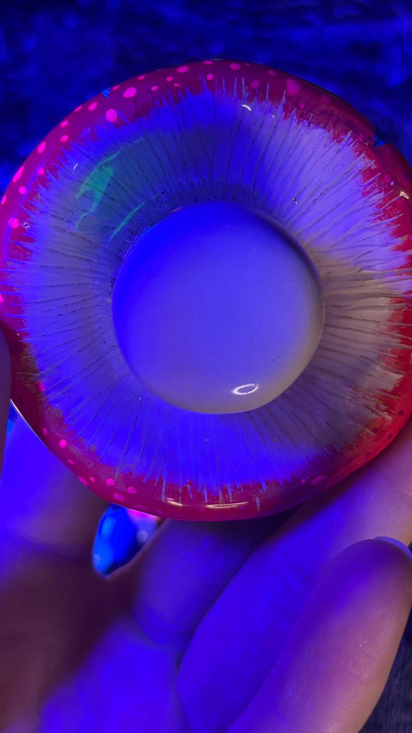 Carved Mandala Shroomie Stash Jar Necklace