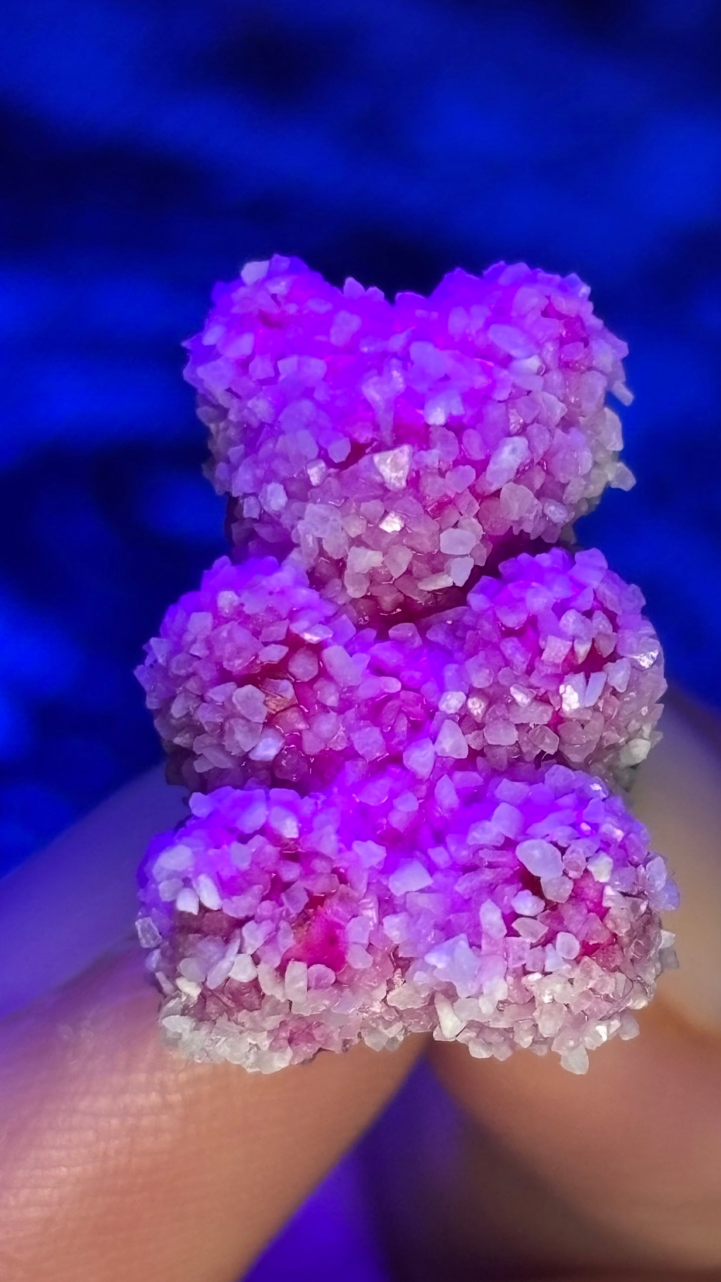 Sour Gummy Bear Pin Pack (+6 Pins)