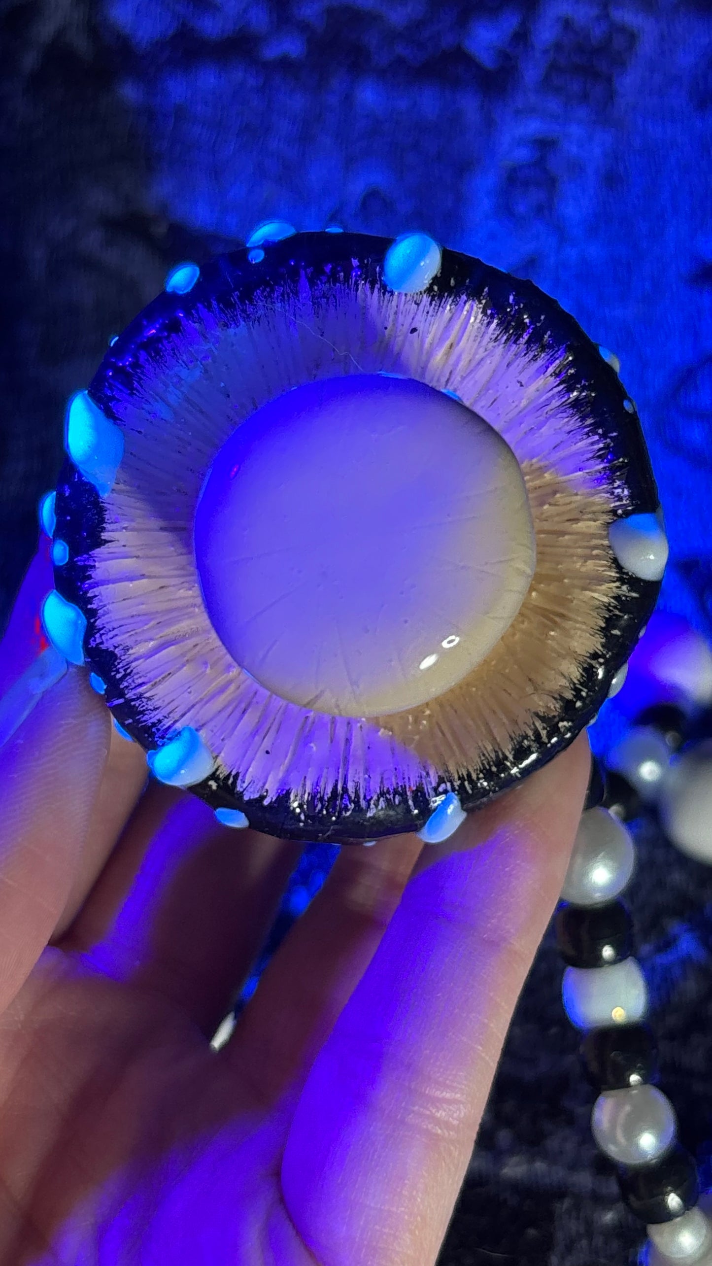 Black/White Shroomie Stash Jar Necklace