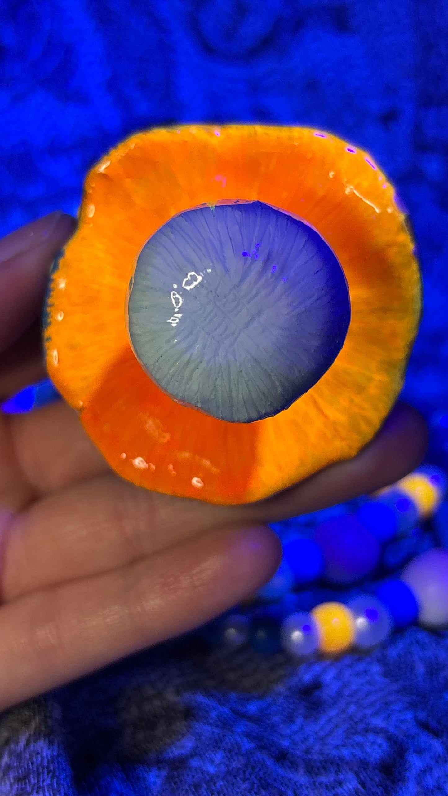 Blue/Orange Mushroom Stash Jar Necklace